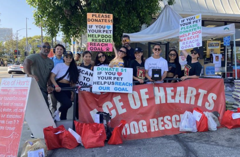 Volunteers at an Ace of Heart Volunteer event