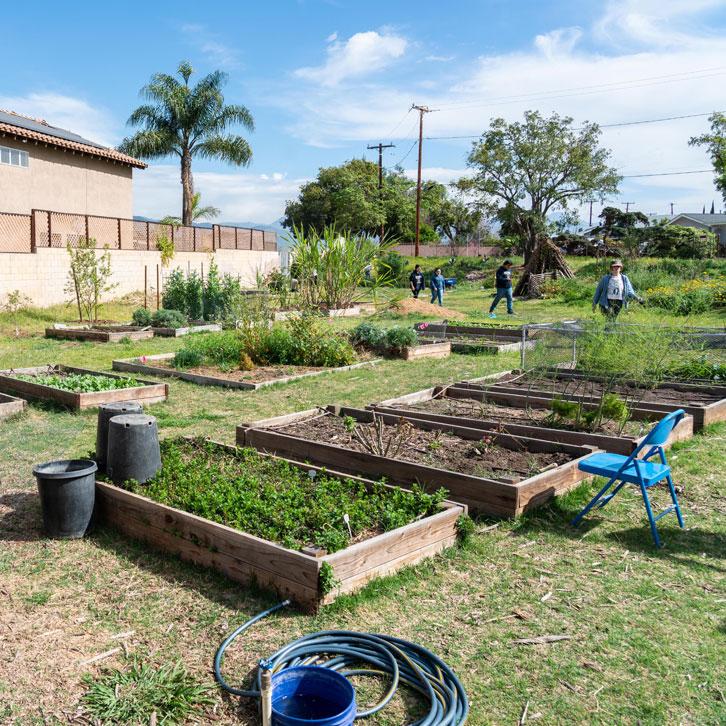 This is a photo of the garden at Arroyo High School.
