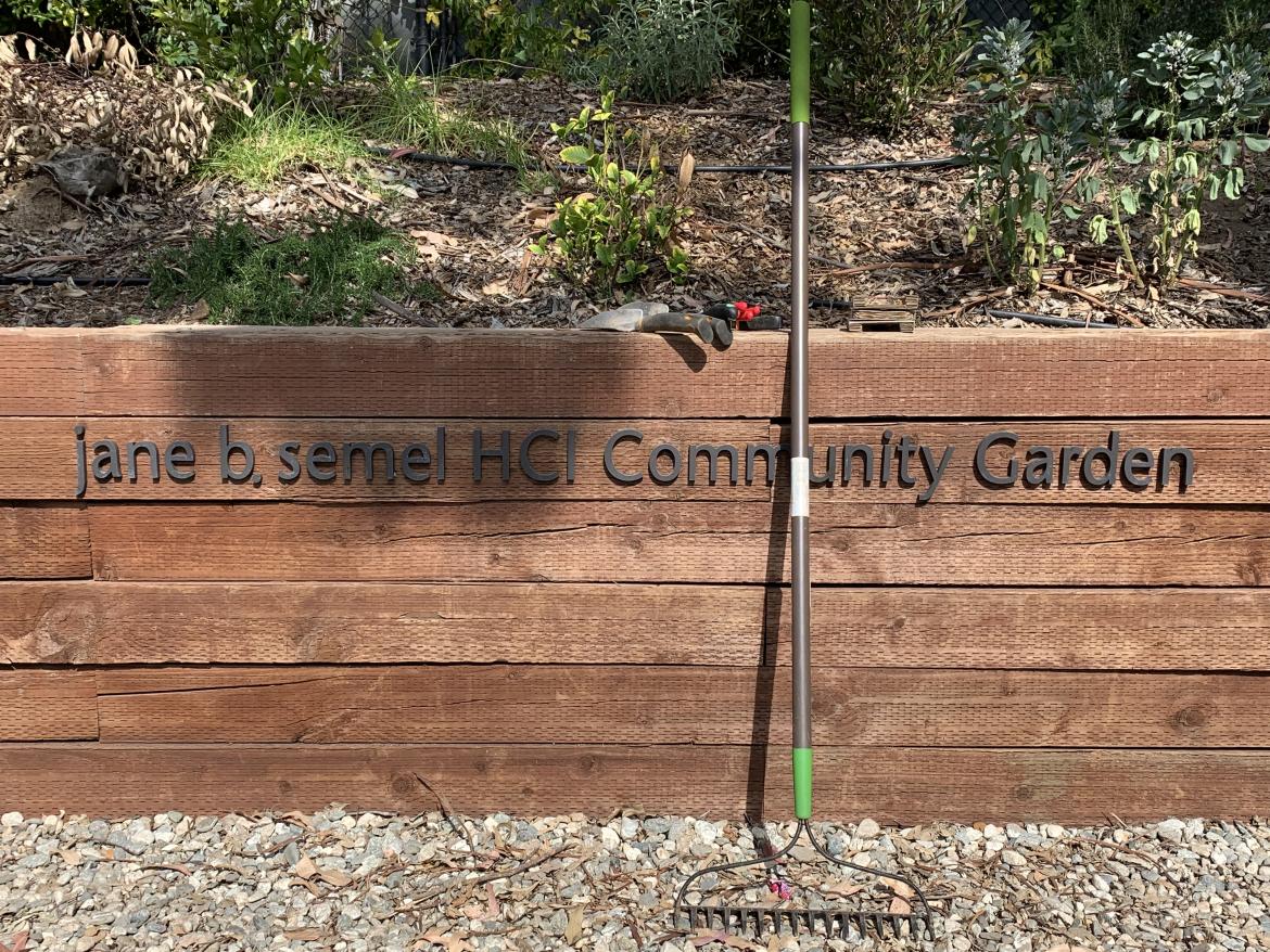 This is an image of the jane b semel HCI Community Garden on the UCLA Campus.