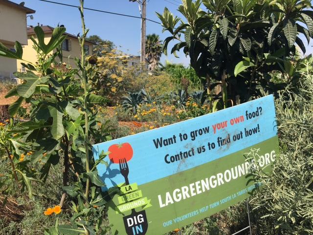 This is a photo of Good Earth Community Garden in Los Angeles.