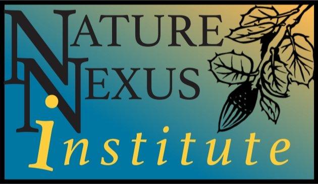 The logo is placed over a blue-to-yellow gradient background. In black text reads "Nature Nexus" next to a sketch of a black branch with leaves. Below, in yellow text reads "institute".