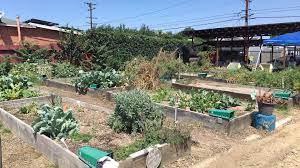 The photo of Willowbrook Community Garden includes four garden plots with varying green plants growing in each of them.