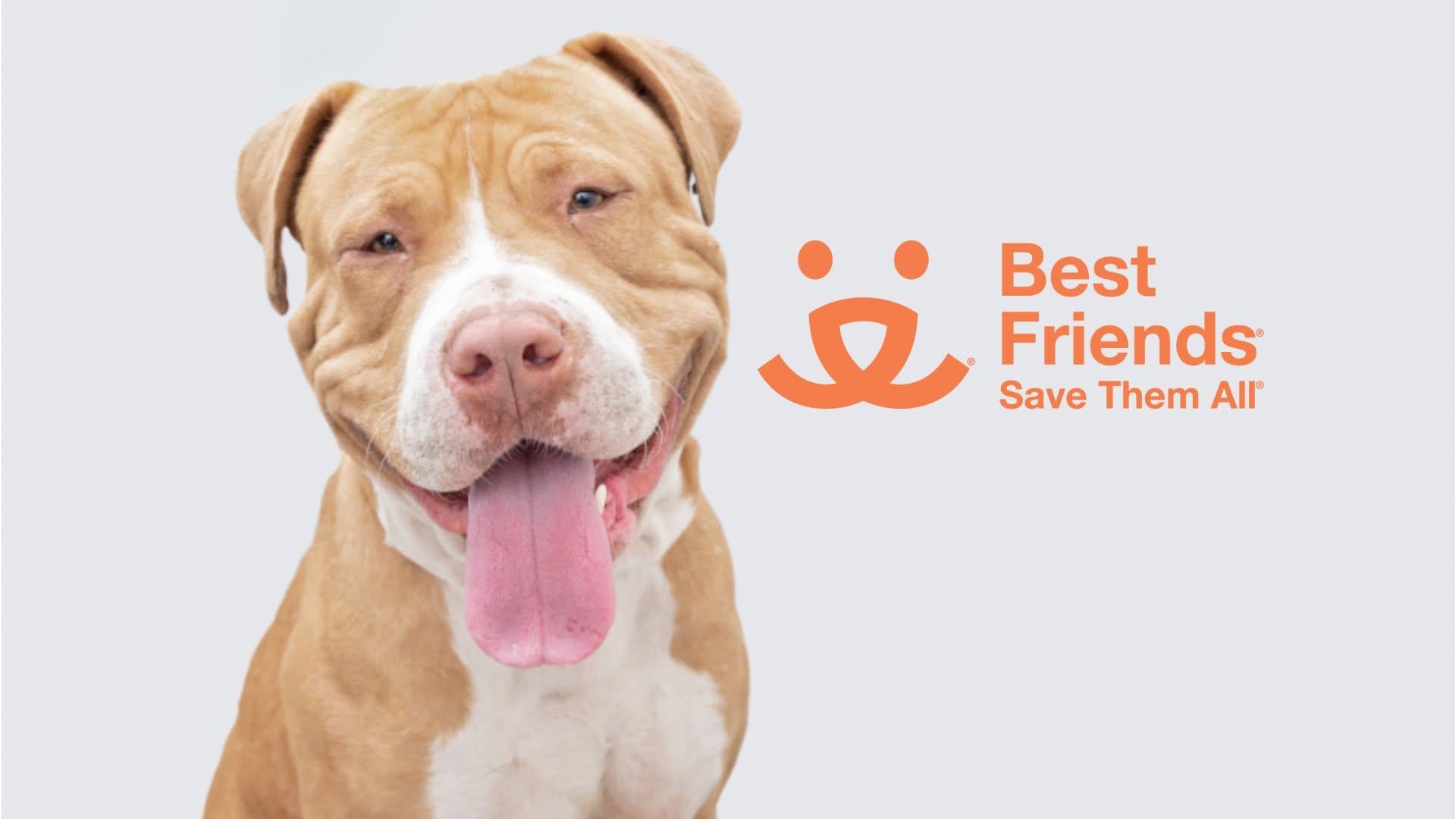 This is a logo for Best Friends Animal Society.