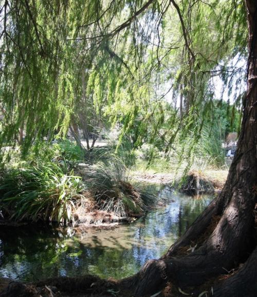 This is an image of Kuruvungna Springs.