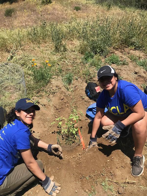 This is a photo of volunteers planting trees.
