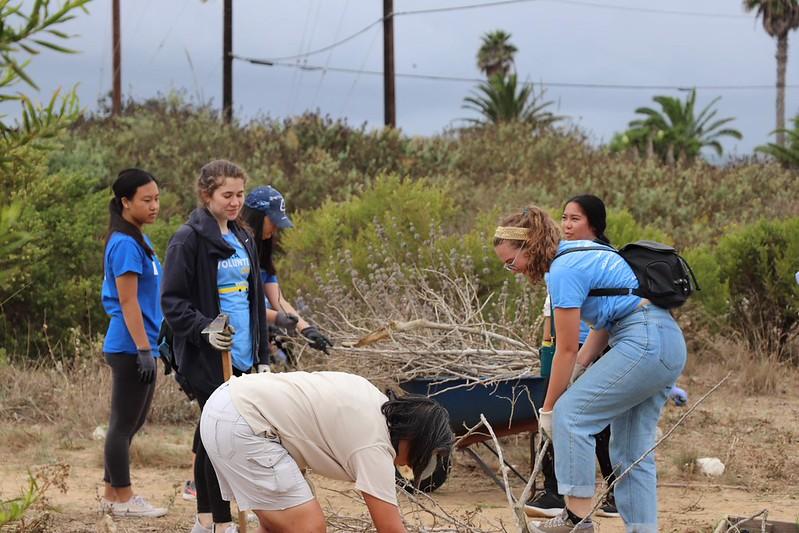 This is a photo of volunteers doing a cleanup.