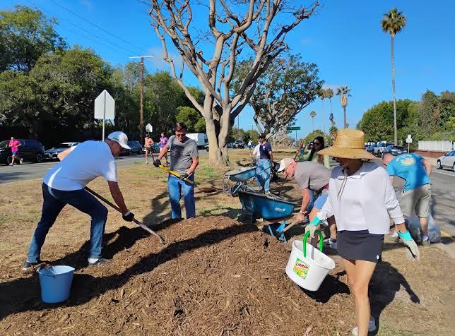 This is a photo of volunteers planting trees.