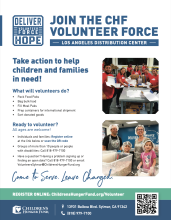 CHF Volunteer Force Flyer