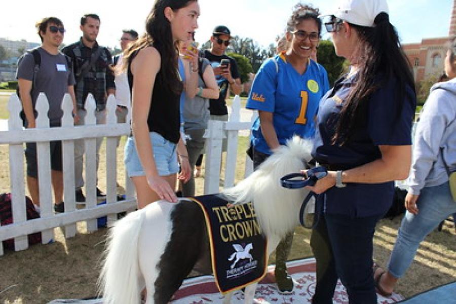 Volunteers with a miniature horse 