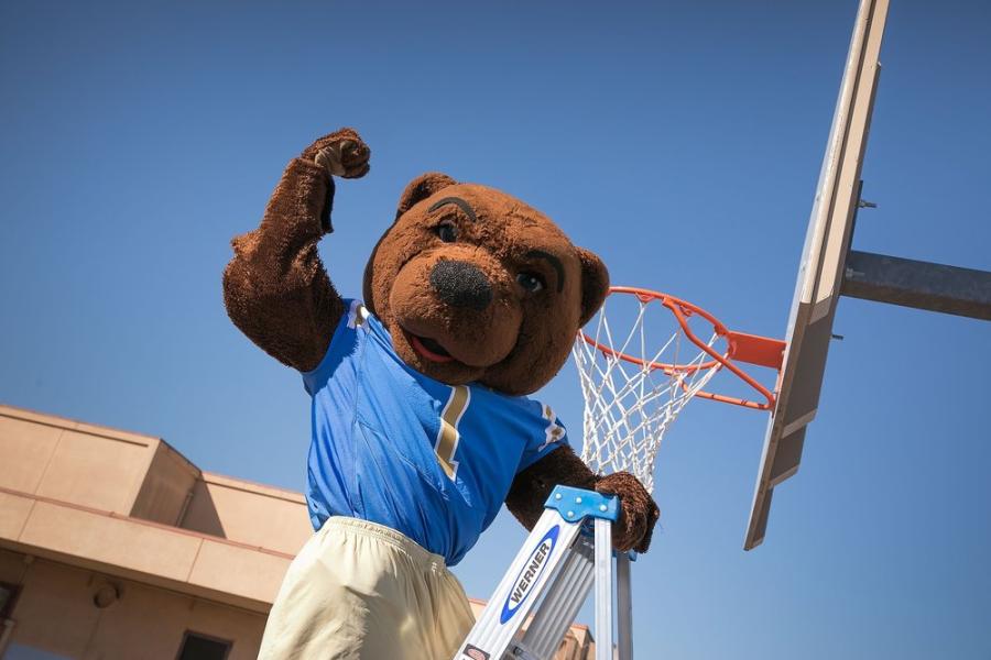 This is a photo of UCLA Mascot, Joe Bruin.
