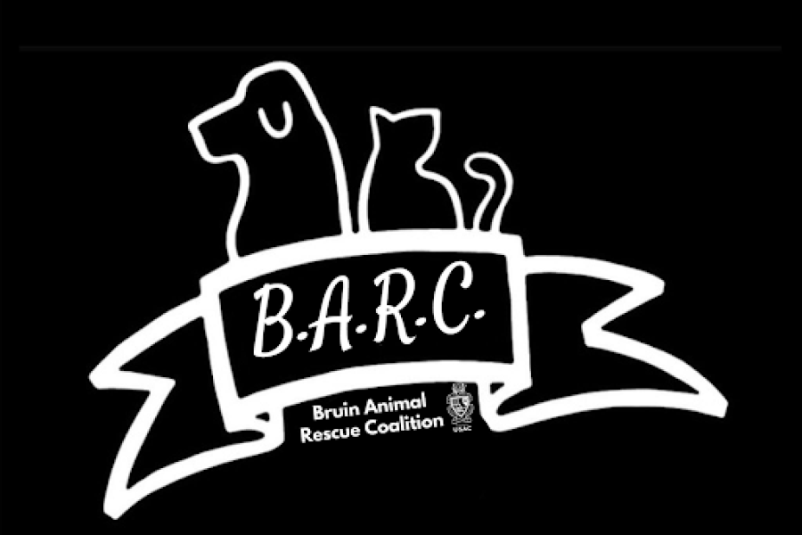 Bruin Animal Rescue Coalition Logo