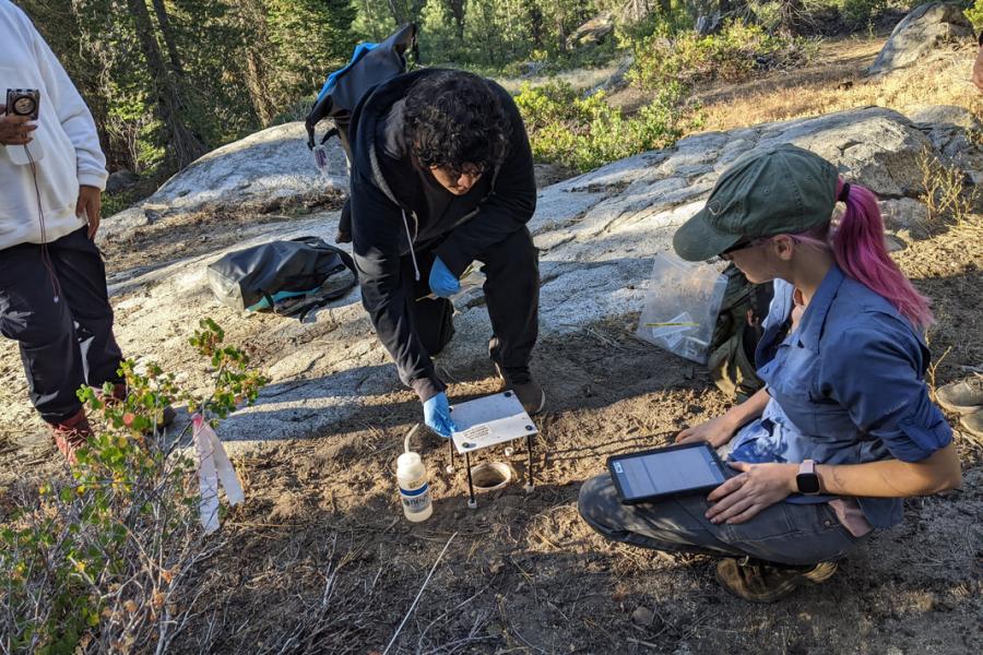 Community College Field Biology Alliance