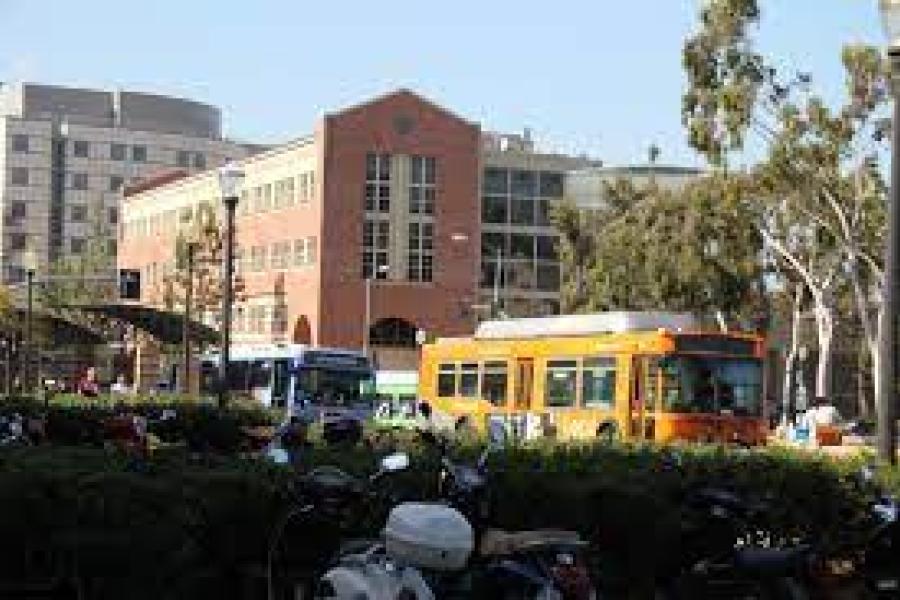 Basic Needs Resource Guide