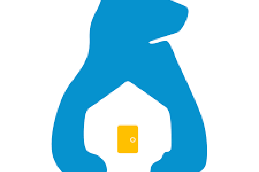 Bruin Shelter