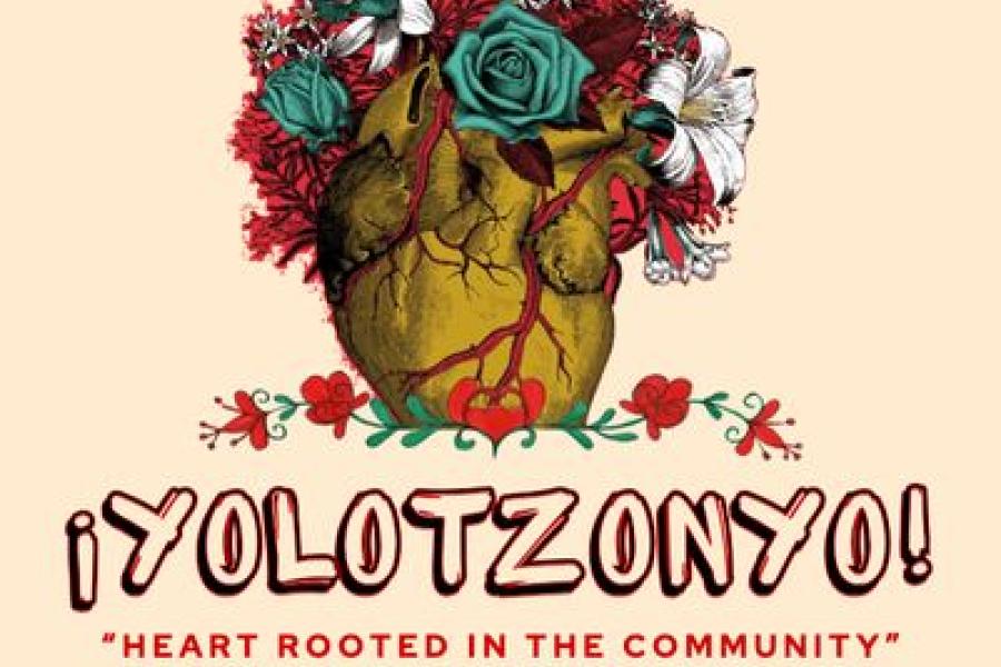 Yolotzonyo
