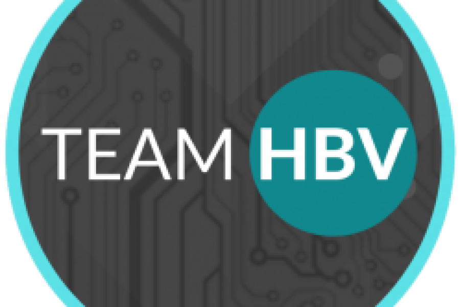 Team HBV promotes hepatitis B awareness and prevention through education, community outreach, advocacy, and partnerships, with a focus on supporting the API community.